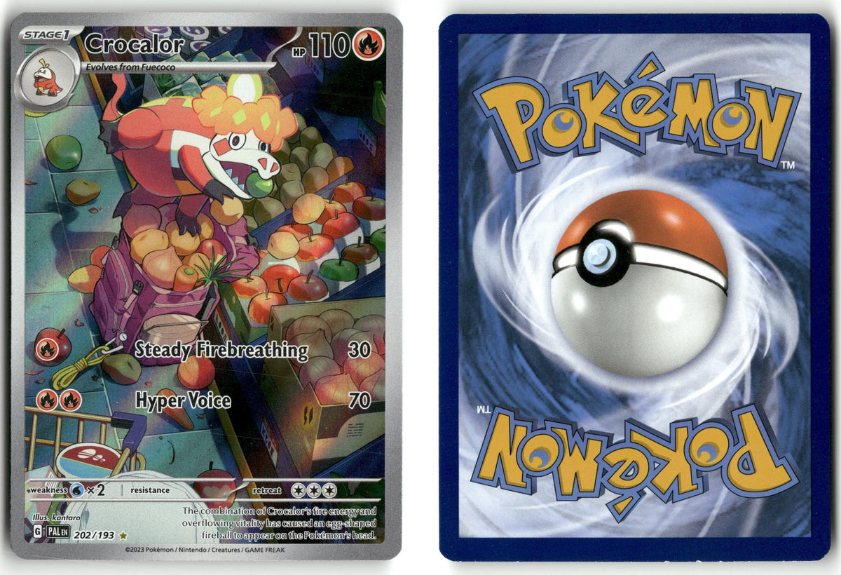 Front + Back scan
