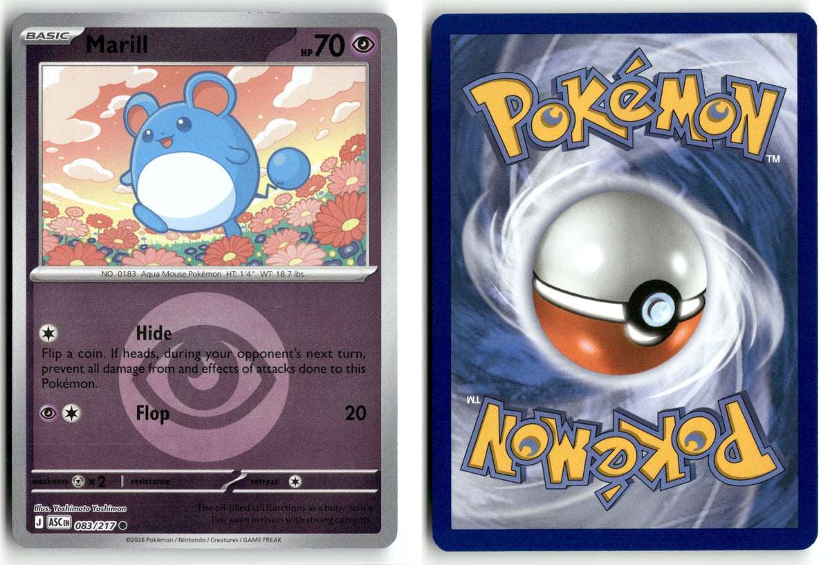 Front + Back scan | Near Mint / English / Reverse Holofoil