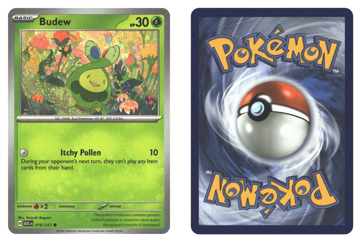 Front + Back scan | Near Mint / English / Normal