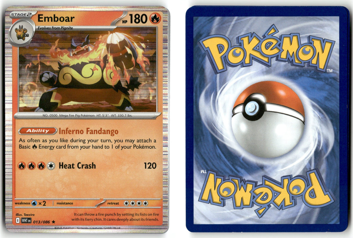 Front + Back scan