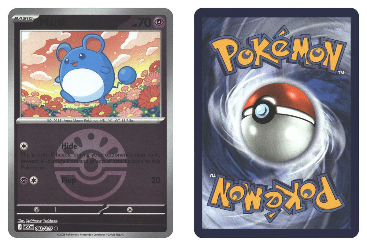 Front + Back scan | Near Mint / English / Reverse Holofoil