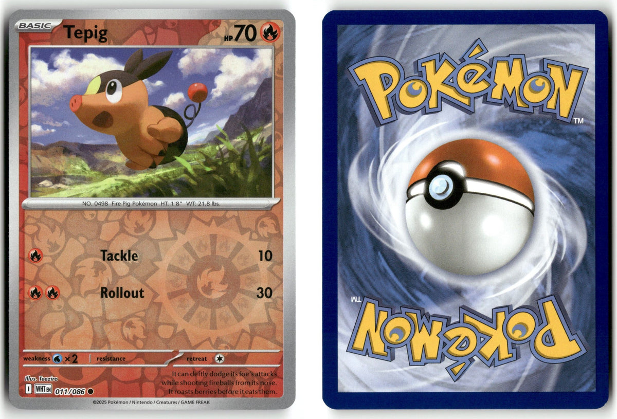 Front + Back scan