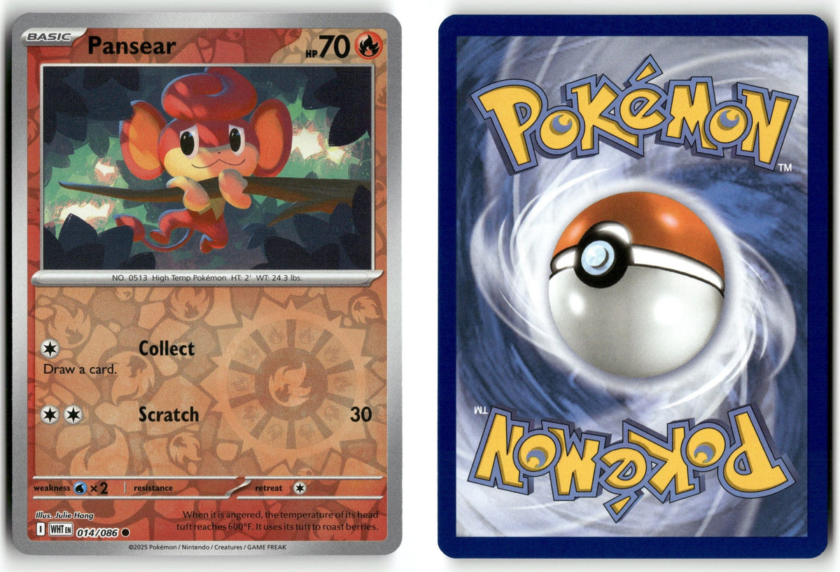 Front + Back scan