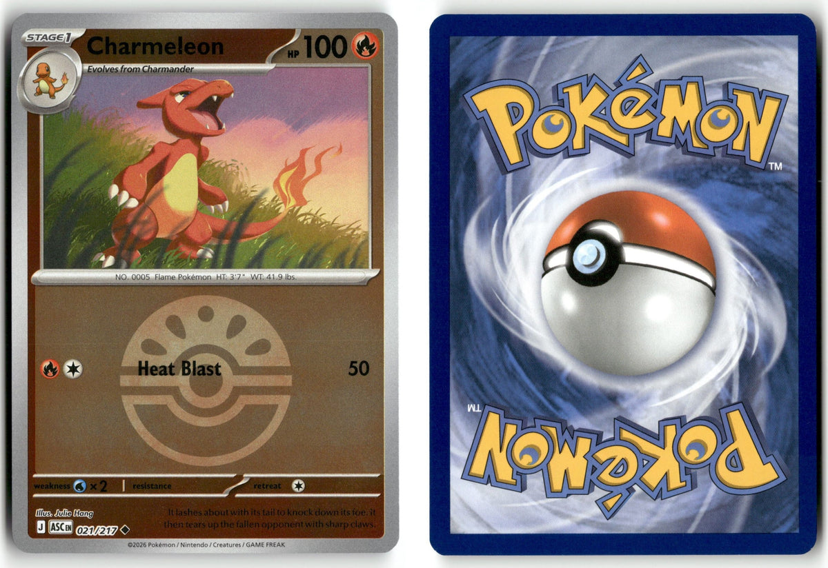 Front + Back scan | Near Mint / English / Reverse Holofoil