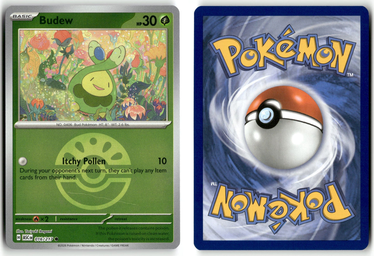 Front + Back scan | Near Mint / English / Reverse Holofoil