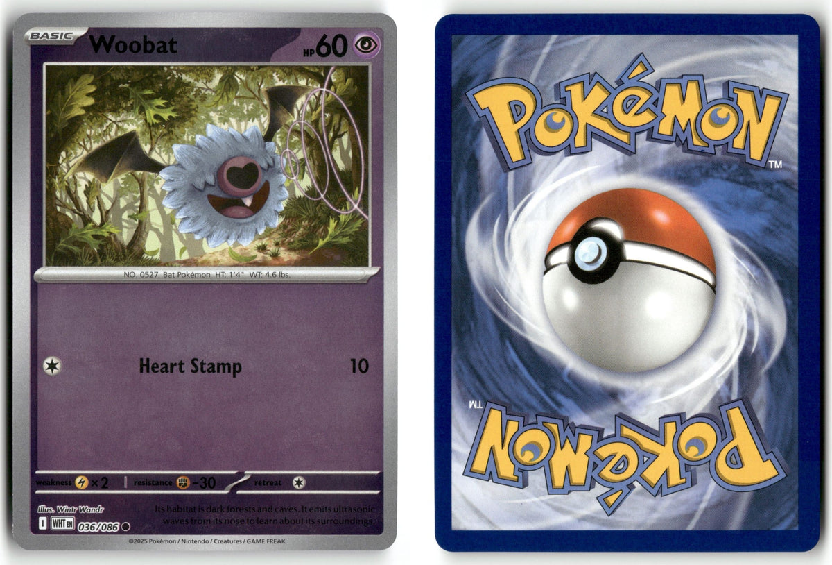 Front + Back scan | Near Mint / English / Holofoil