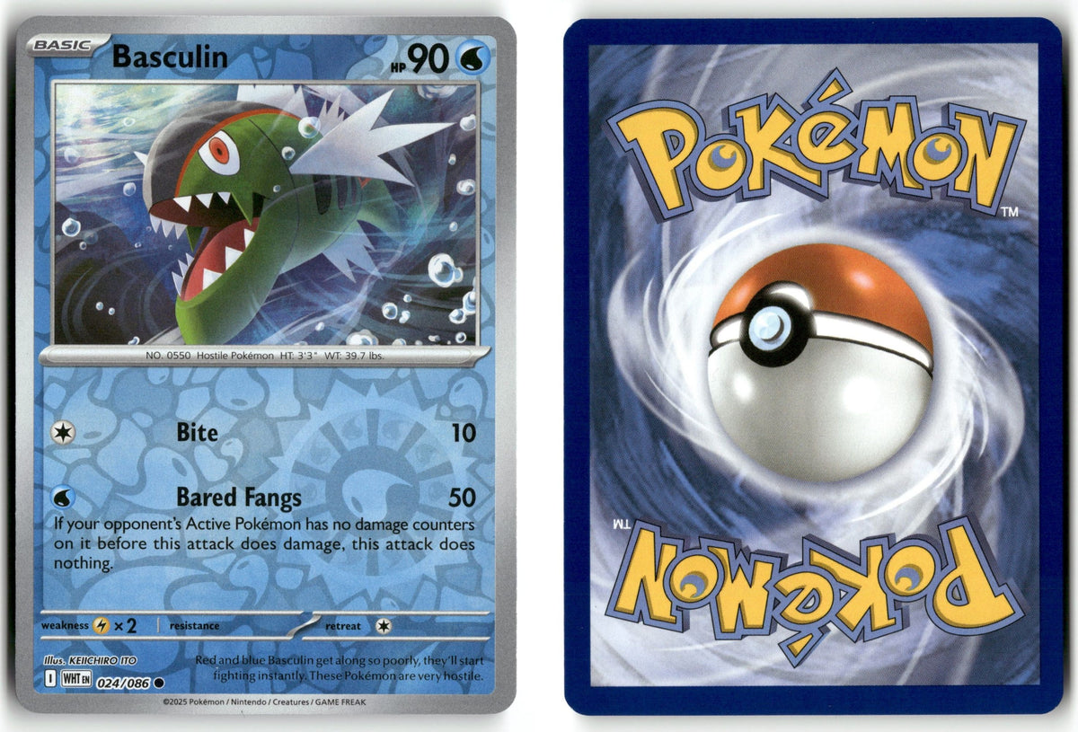 Front + Back scan