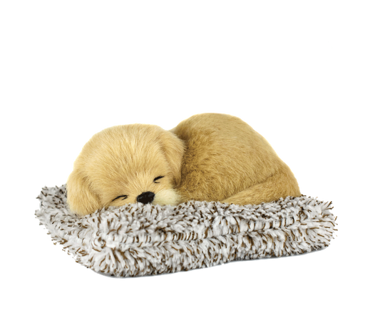 Mini Perfect Petzzz - Golden Retriever