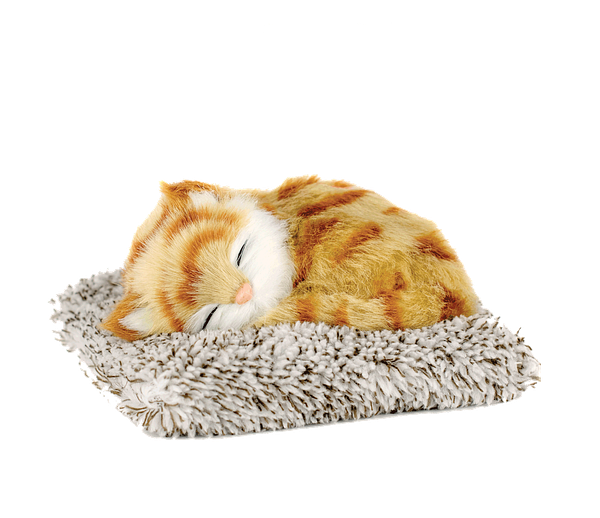 Mini Perfect Petzzz - Orange Tabby