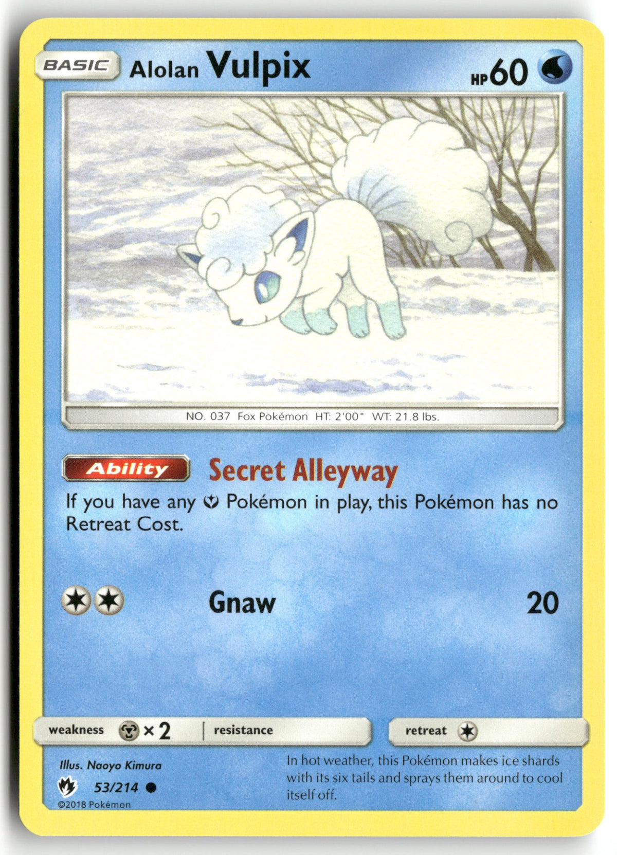 Front + Back scan | Near Mint / English / Normal