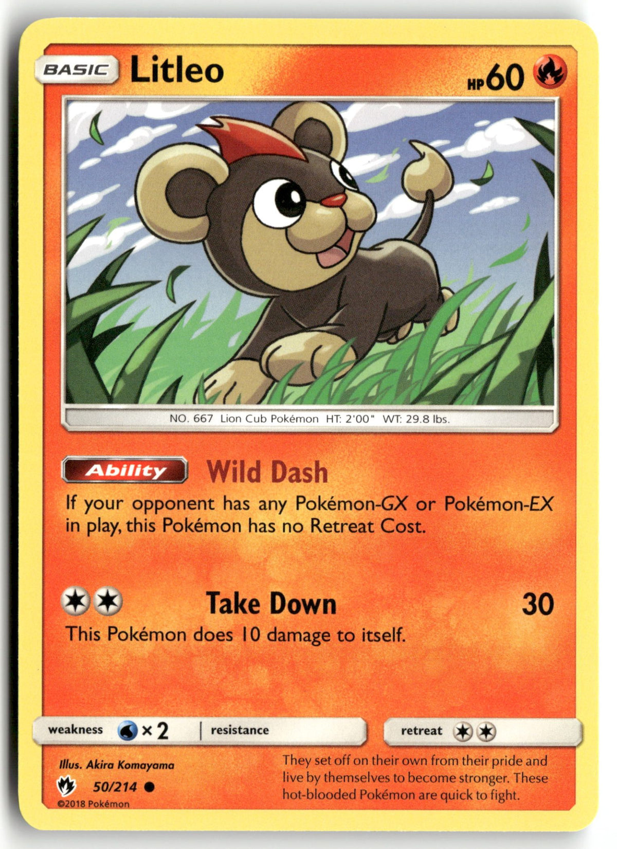 Front + Back scan | Near Mint / English / Normal