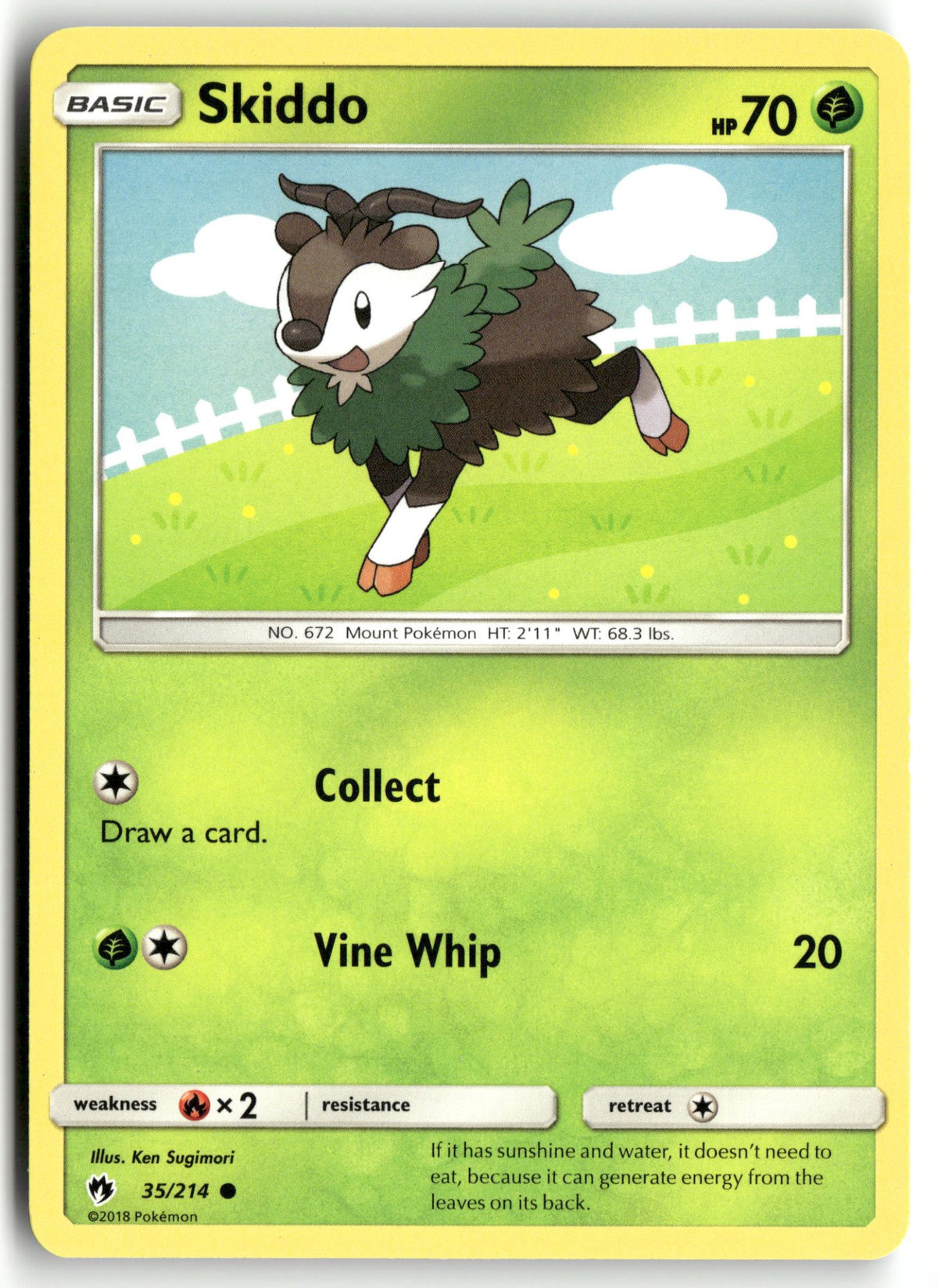 Front + Back scan | Near Mint / English / Normal