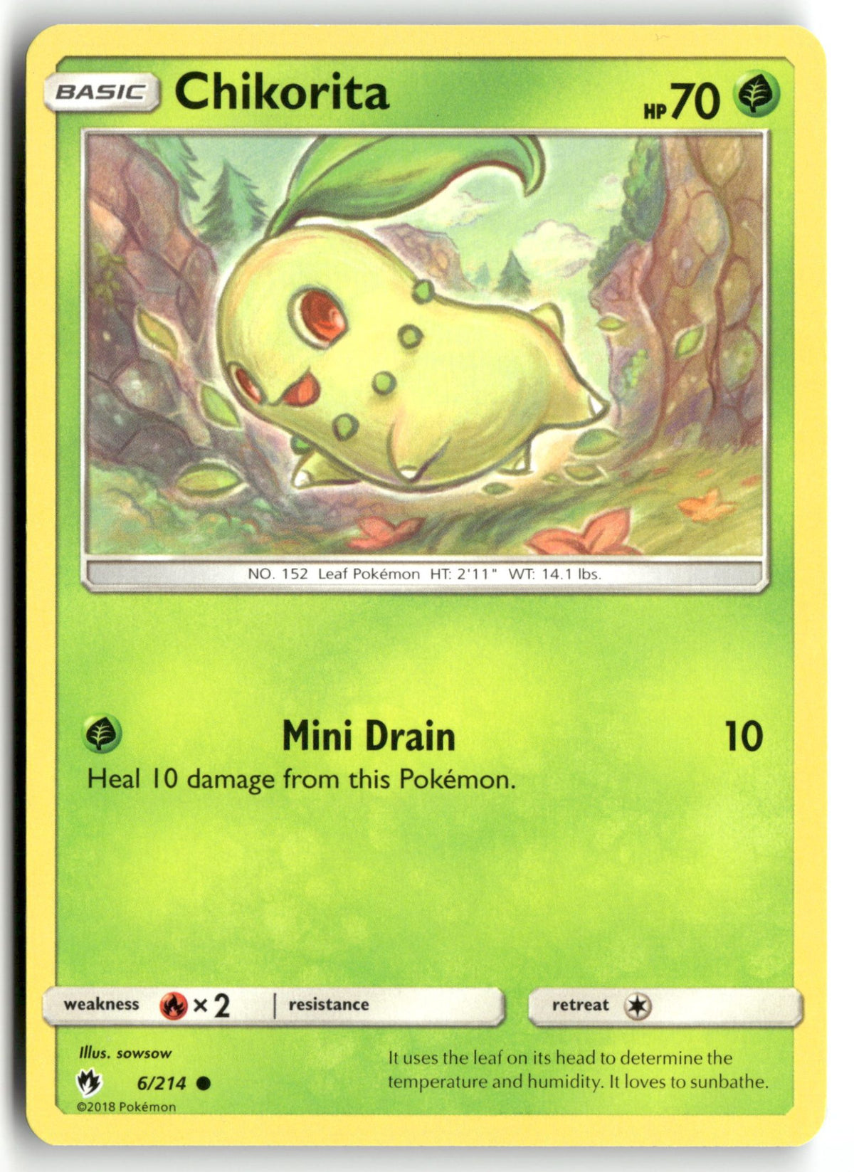 Front + Back scan | Near Mint / English / Normal