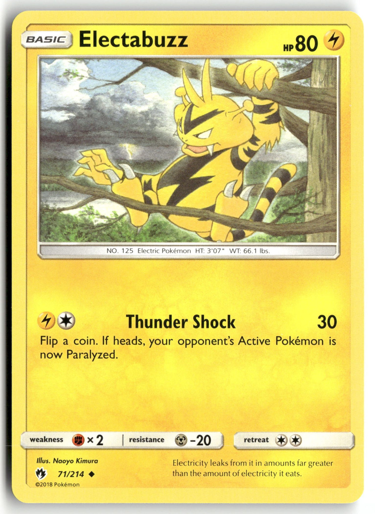 Front + Back scan | Near Mint / English / Normal