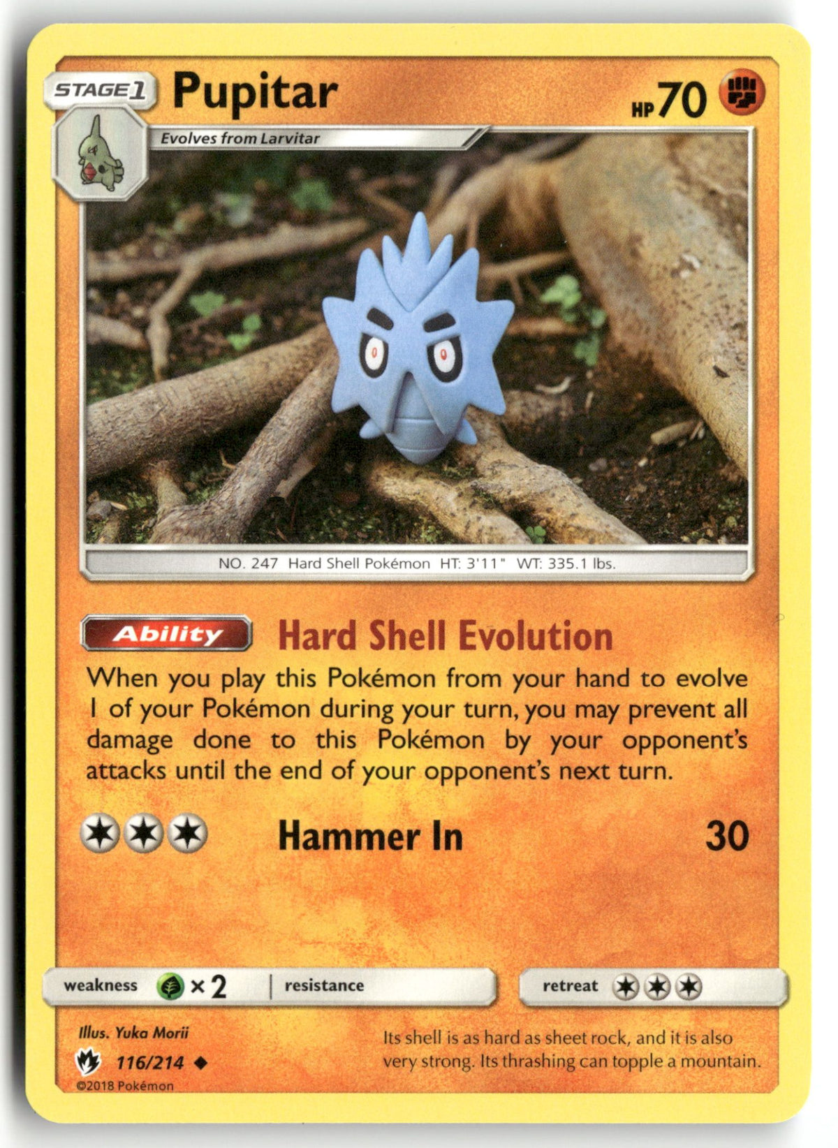 Front + Back scan | Near Mint / English / Normal