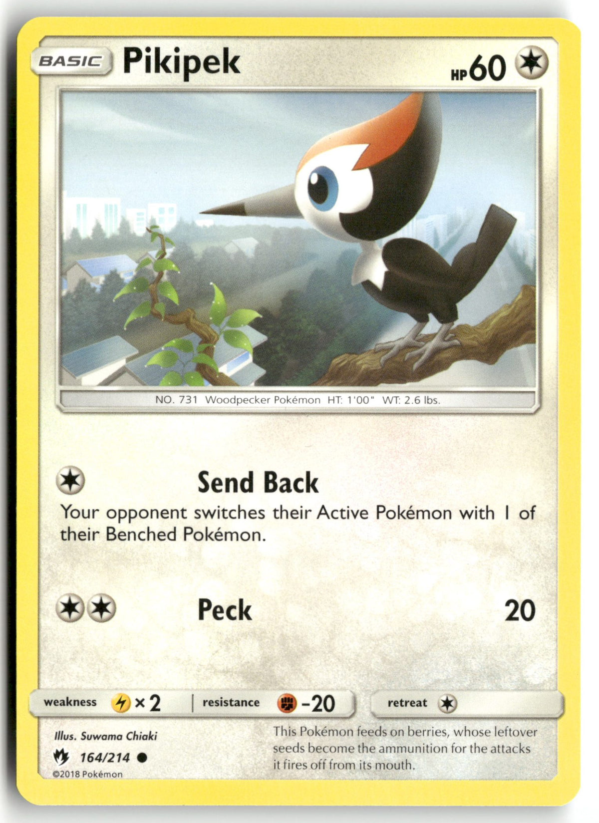 Front + Back scan | Near Mint / English / Normal