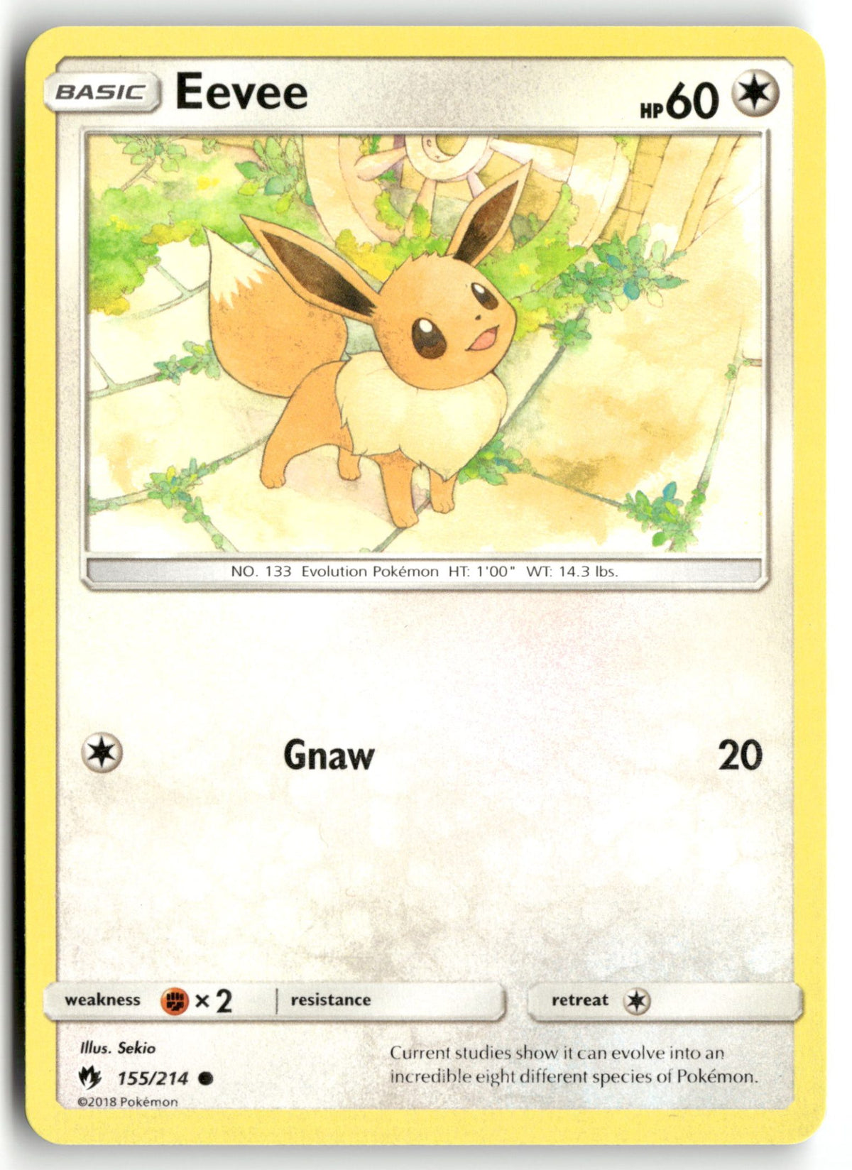 Front + Back scan | Near Mint / English / Normal