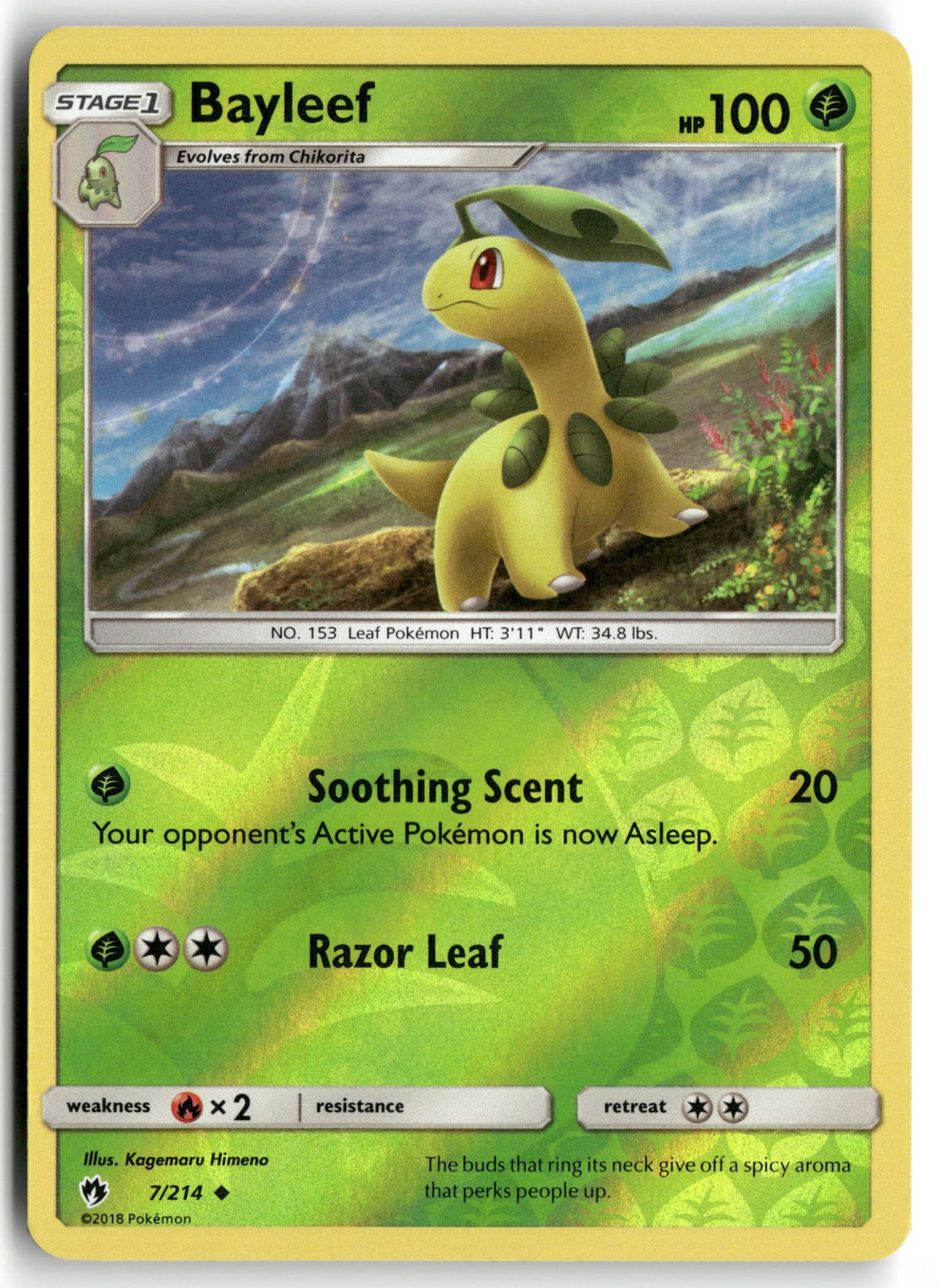 Front + Back scan | Near Mint / English / Reverse Holofoil