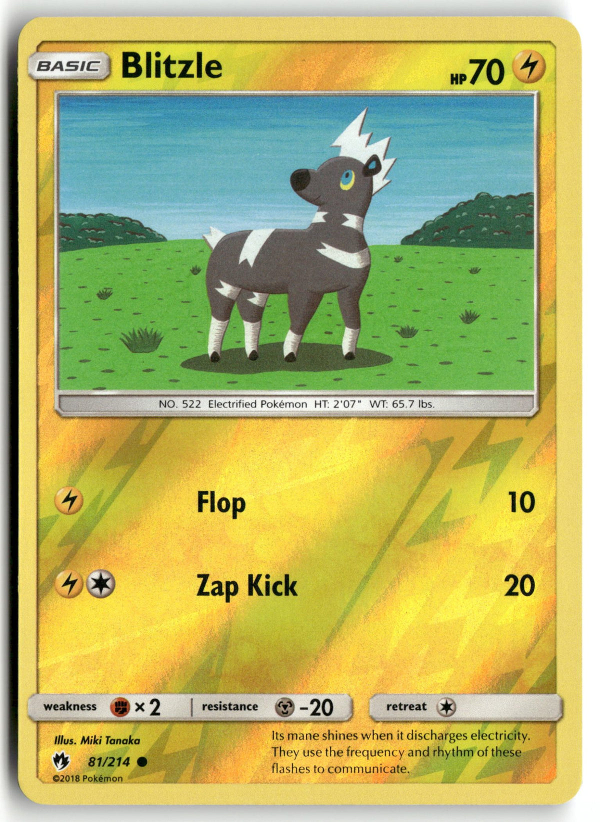 Front + Back scan | Near Mint / English / Reverse Holofoil
