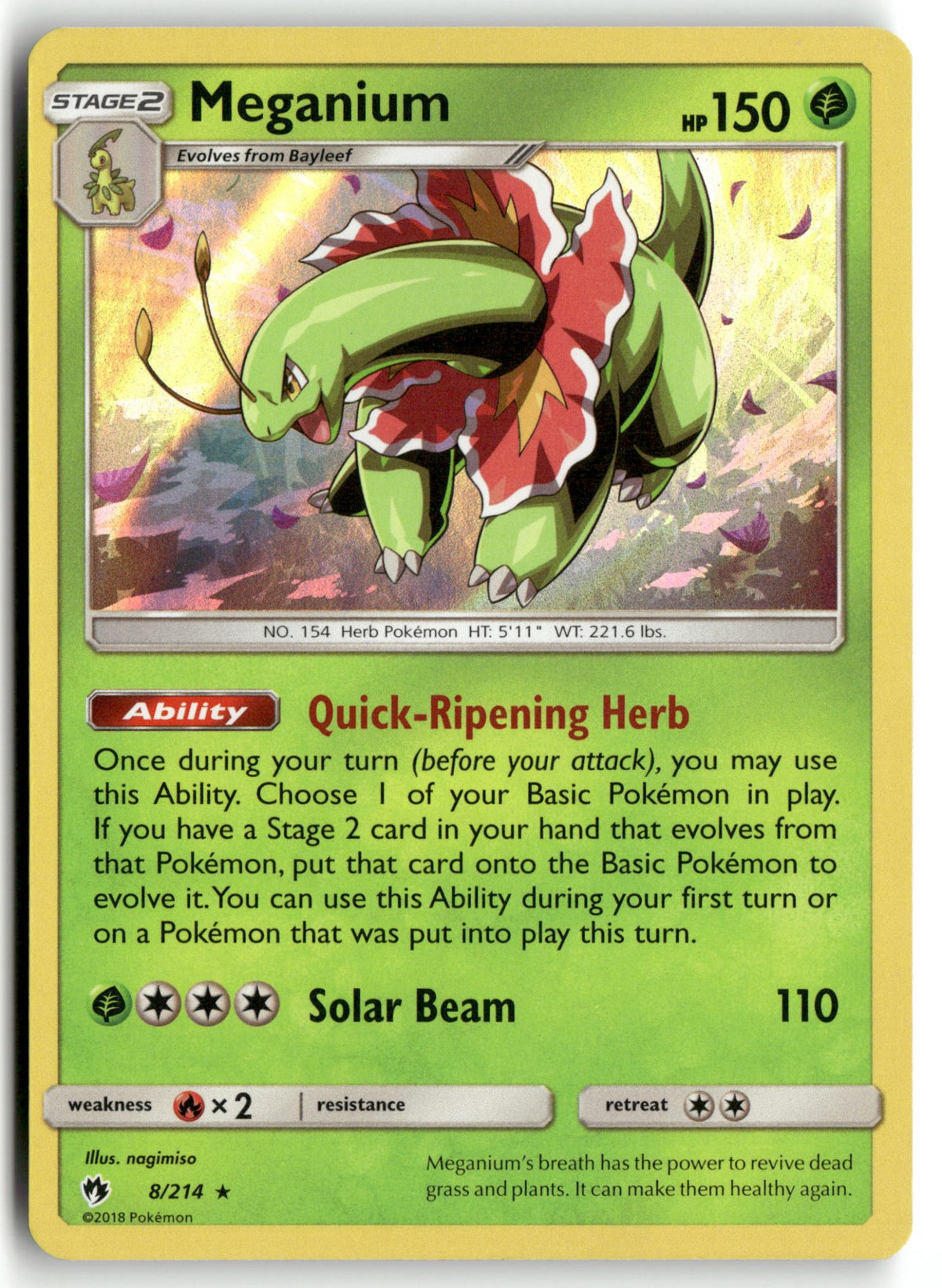 Front + Back scan | Near Mint / English / Holofoil