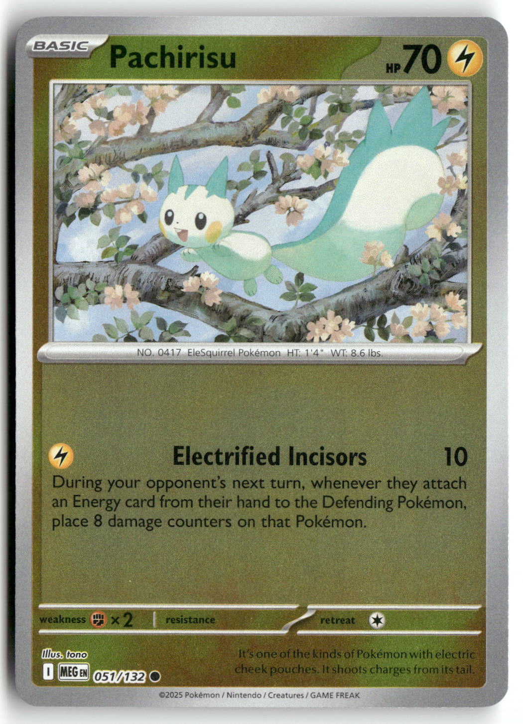 Front + Back scan | Near Mint / English / Reverse Holofoil