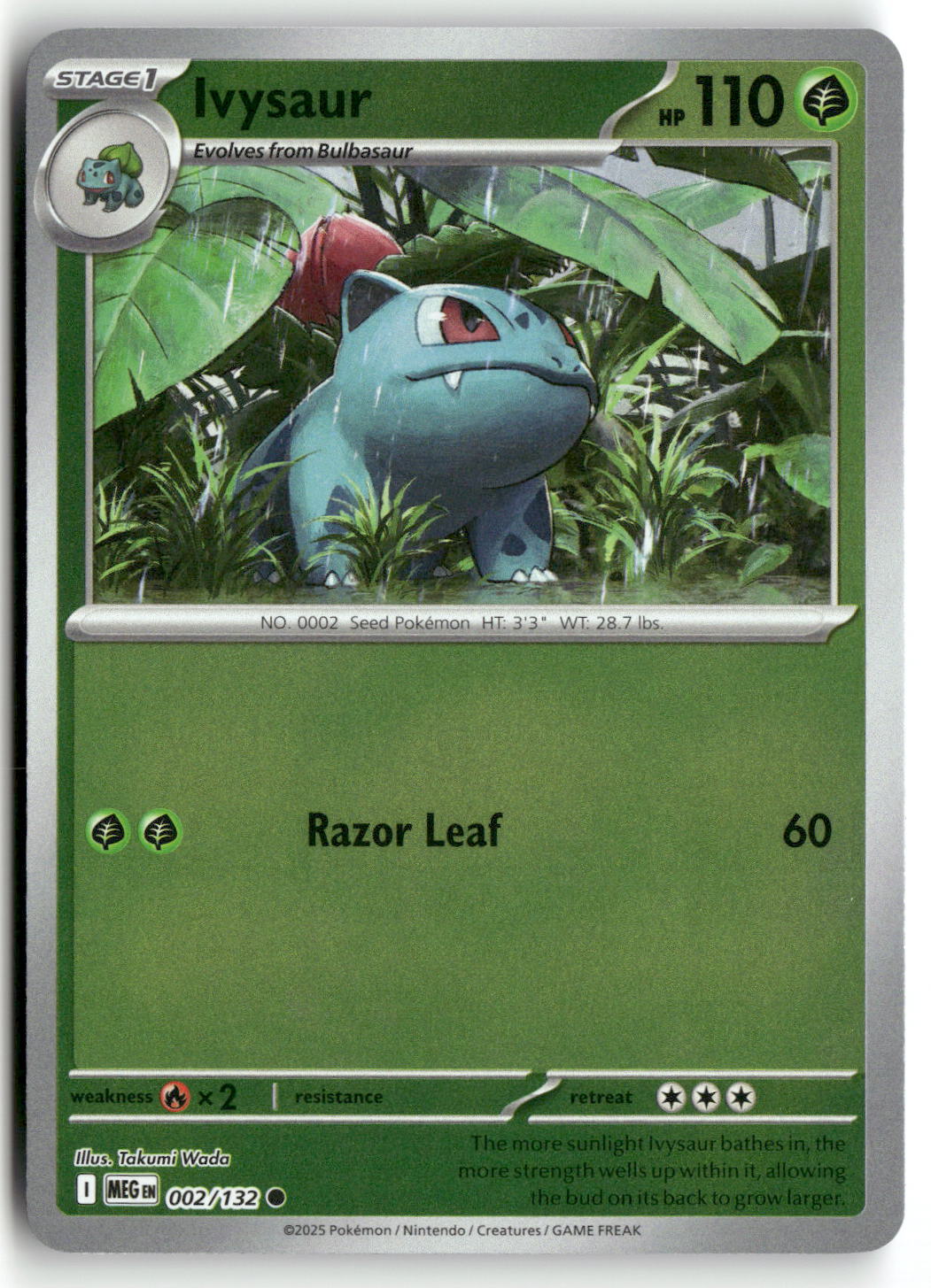 Front + Back scan | Near Mint / English / Reverse Holofoil