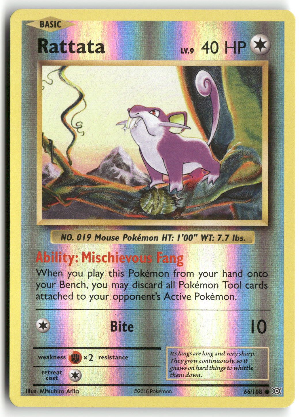 Front + Back scan | Near Mint / English / Reverse Holofoil