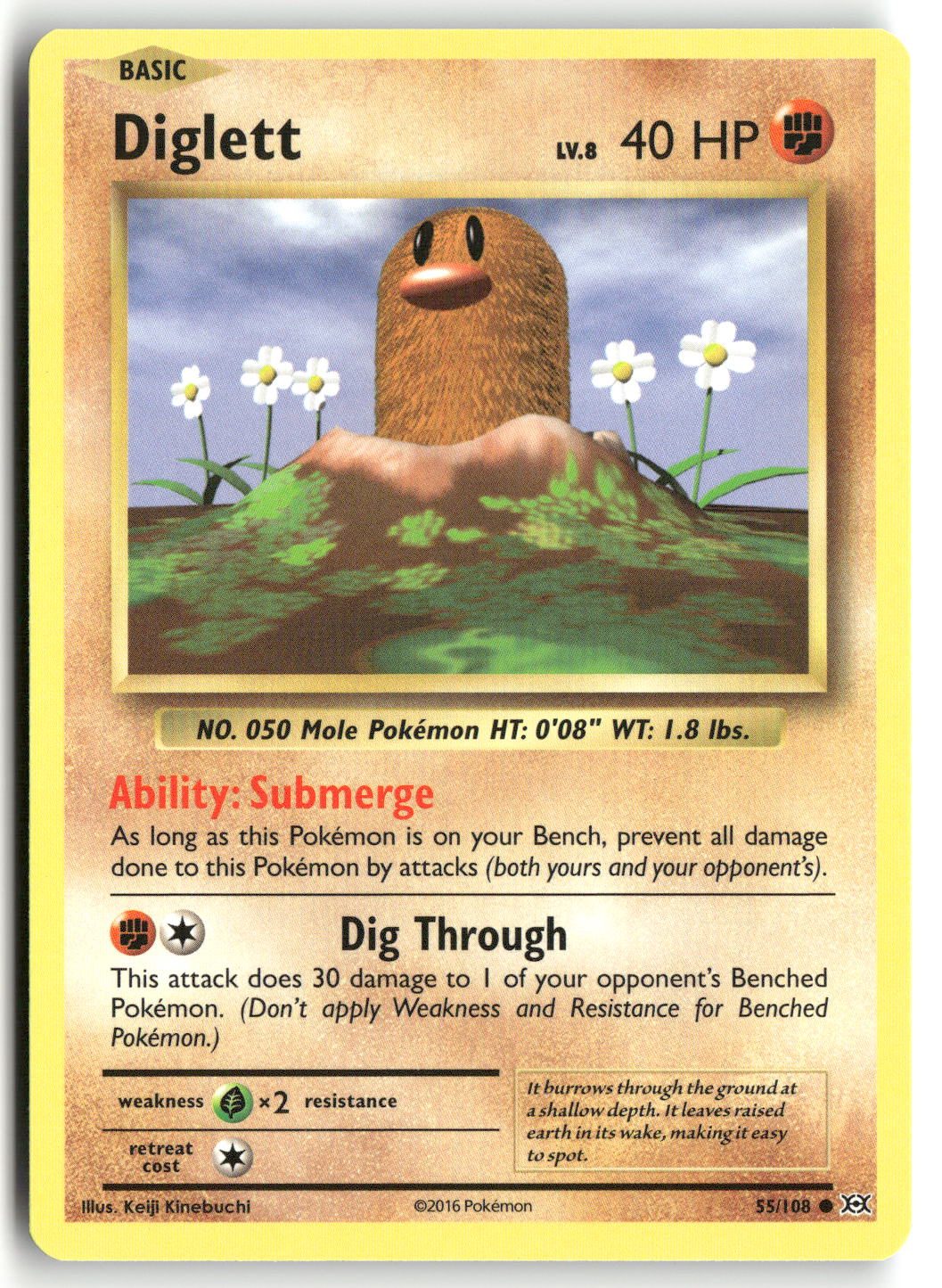 Front + Back scan | Near Mint / English / Normal