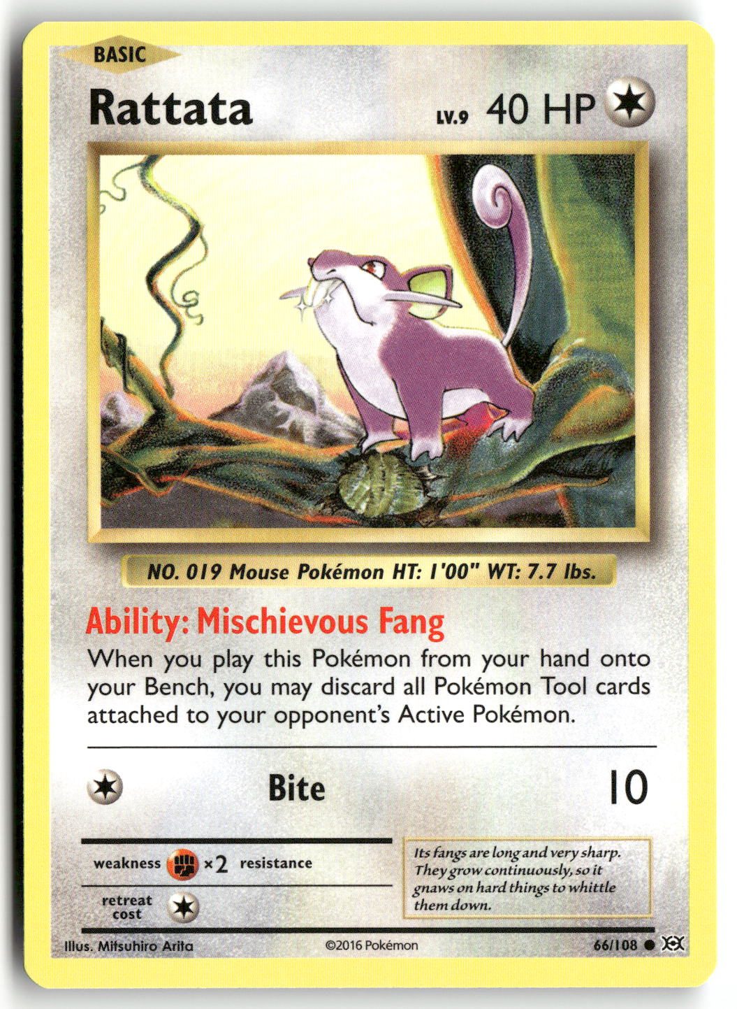 Front + Back scan | Near Mint / English / Normal