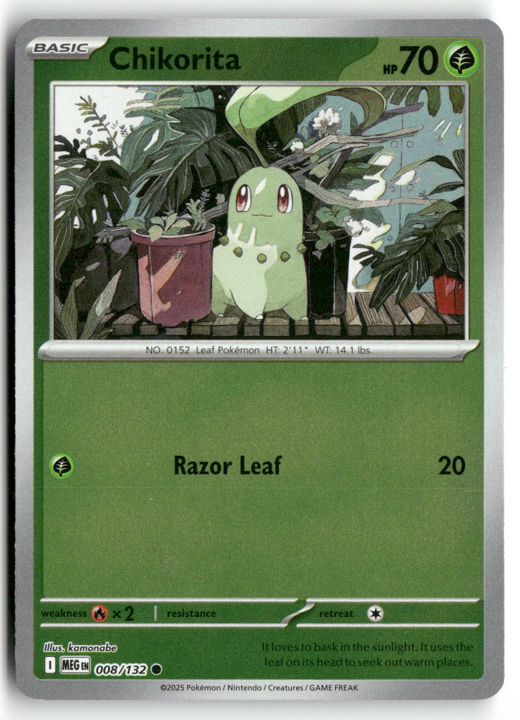 Front + Back scan | Near Mint / English / Reverse Holofoil