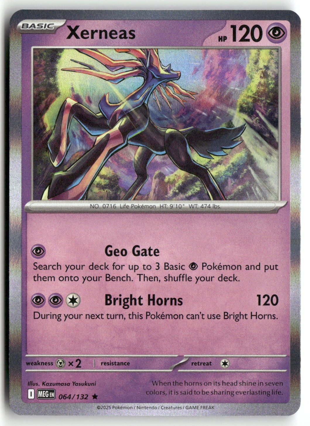 Front + Back scan | Near Mint / English / Holofoil