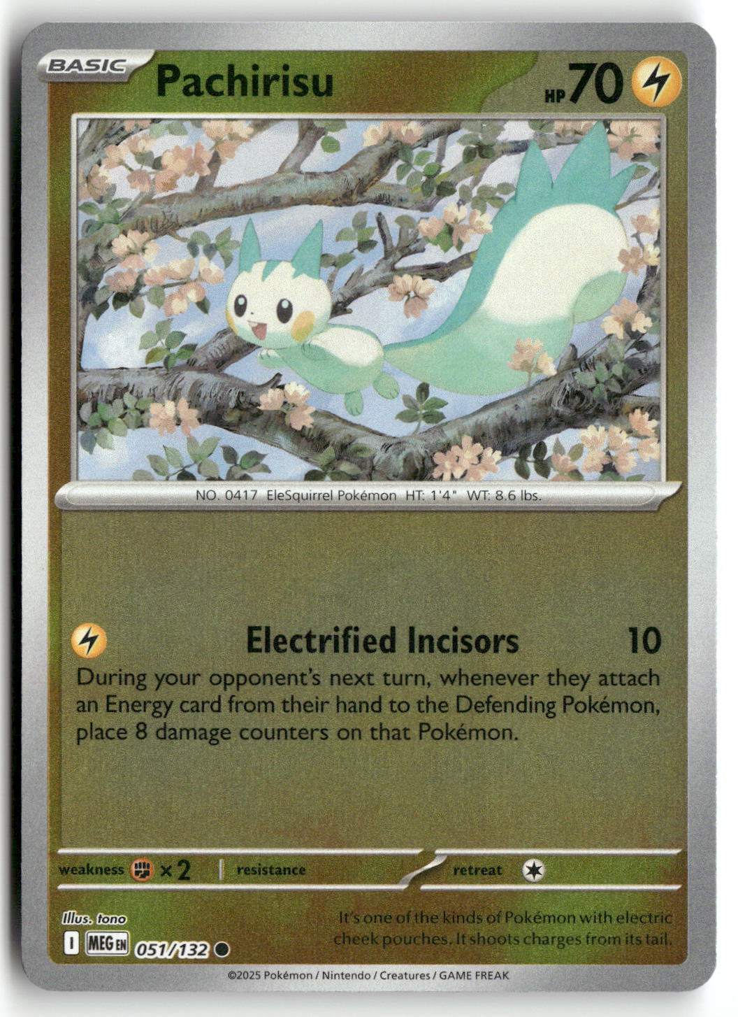 Pachirisu | Near Mint / English / Reverse Holofoil