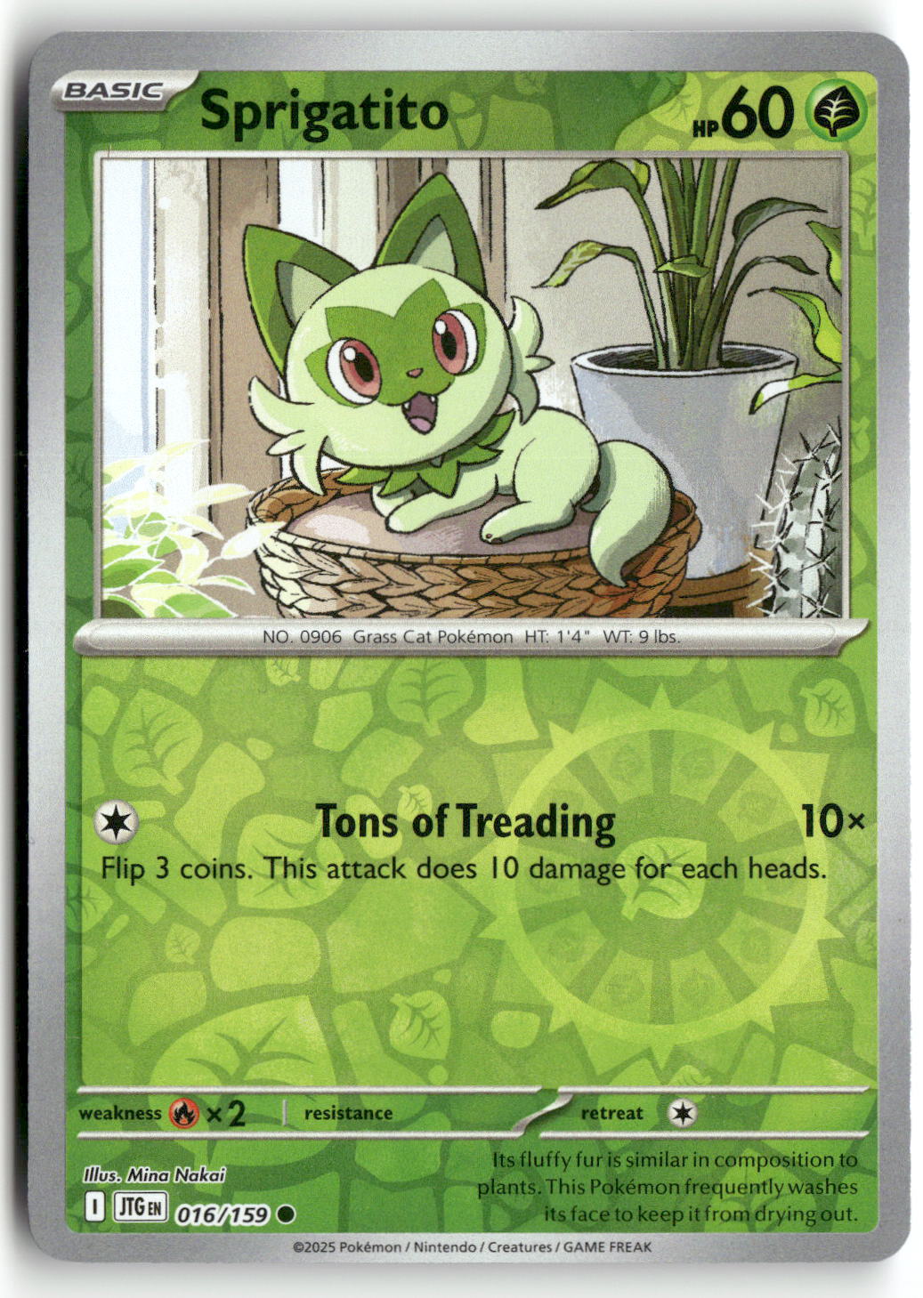 Front + Back scan | Near Mint / English / Reverse Holofoil