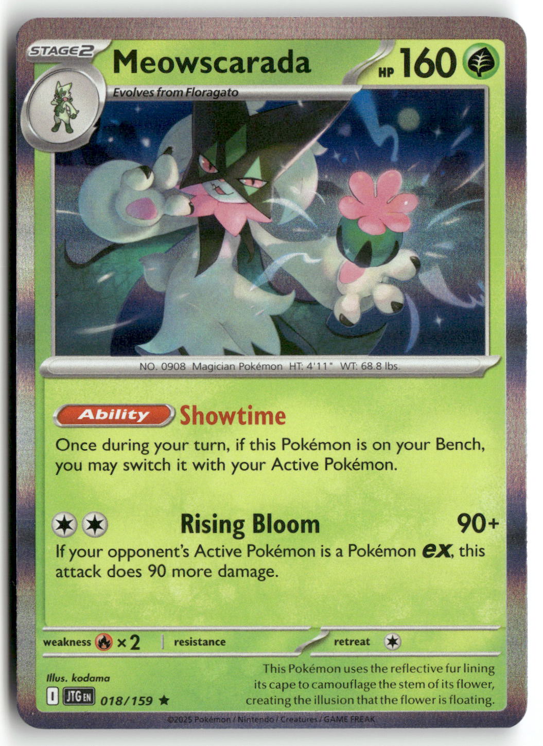 Front + Back scan | Near Mint / English / Holofoil