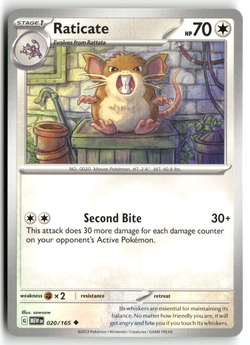 Raticate