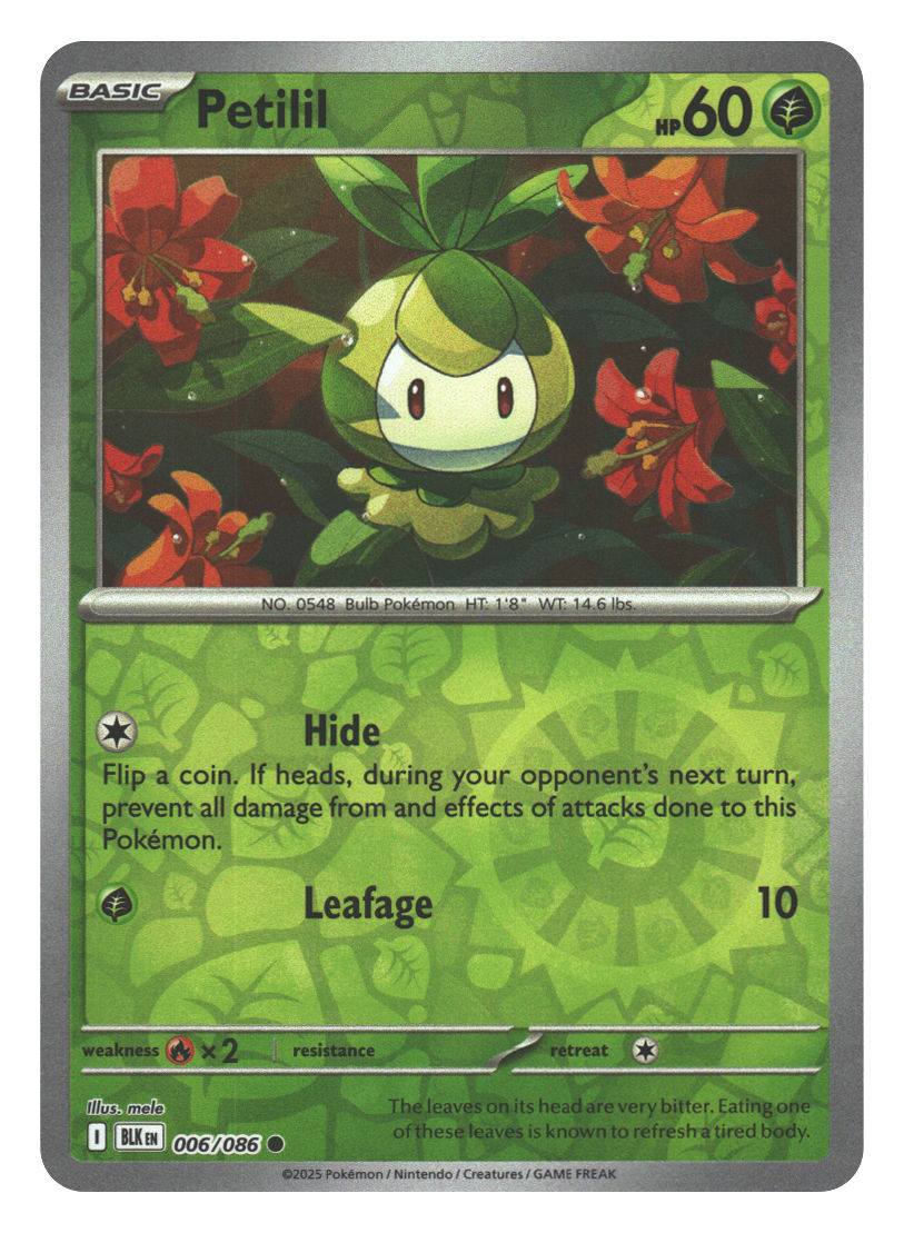 Front + Back scan | Near Mint / English / Reverse Holofoil