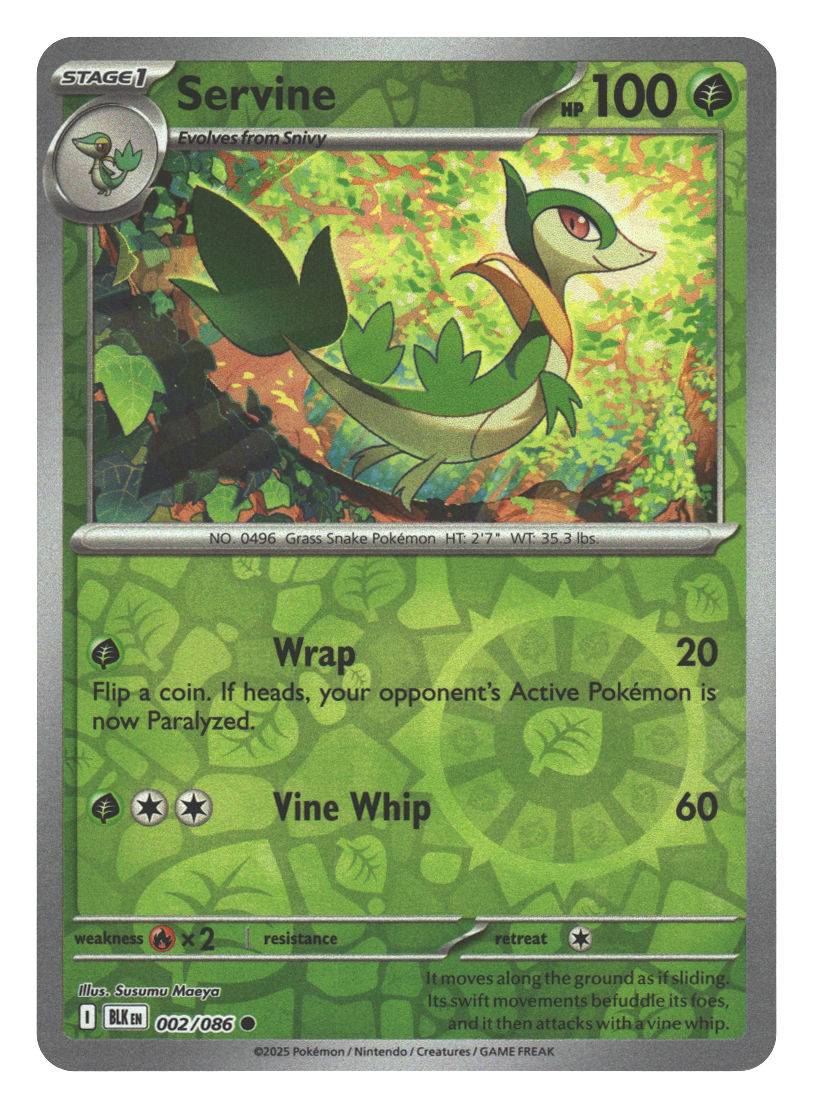 Front + Back scan | Near Mint / English / Reverse Holofoil