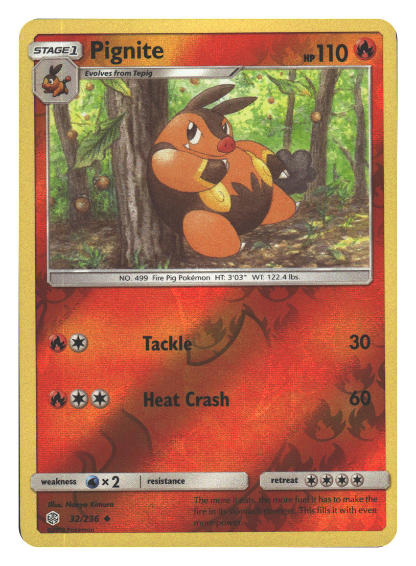 Front + Back scan | Near Mint / English / Reverse Holofoil