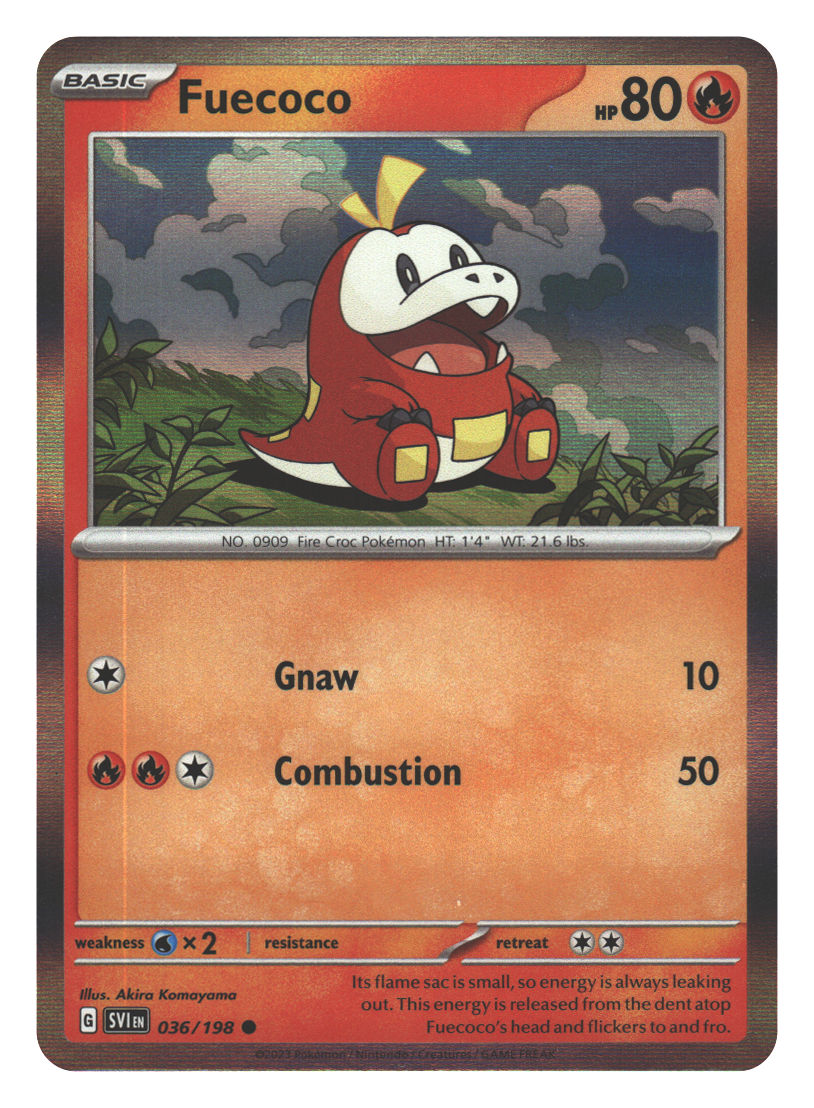 Front + Back scan | Near Mint / English / Holofoil