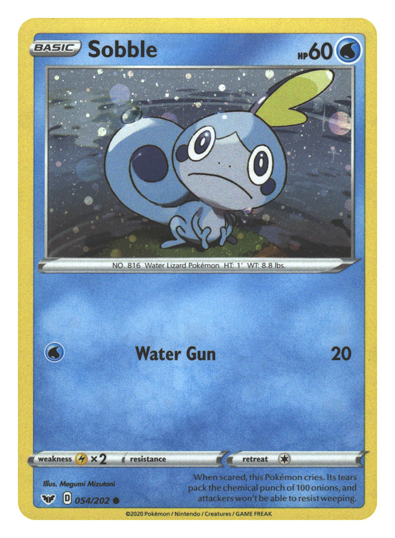 Front + Back scan | Near Mint / English / Holofoil