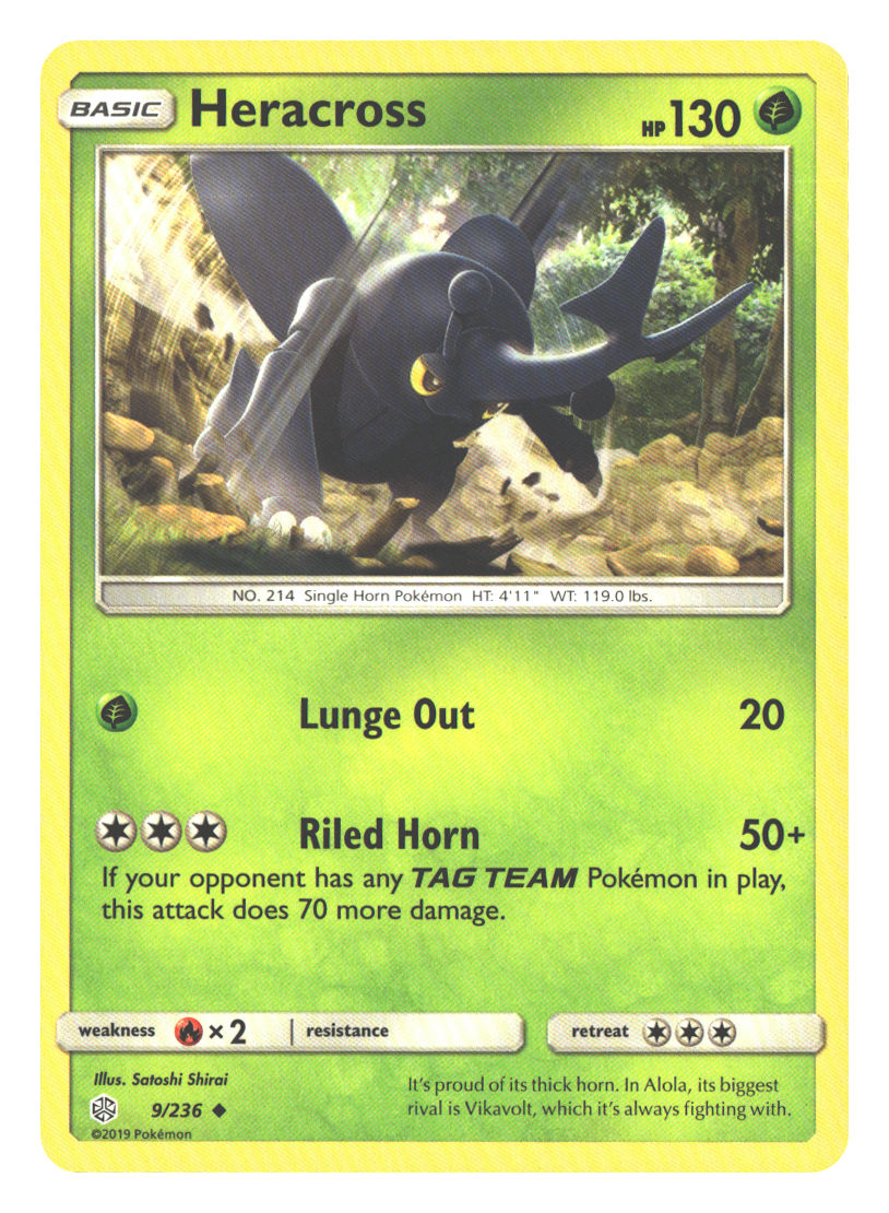 Front + Back scan | Near Mint / English / Normal