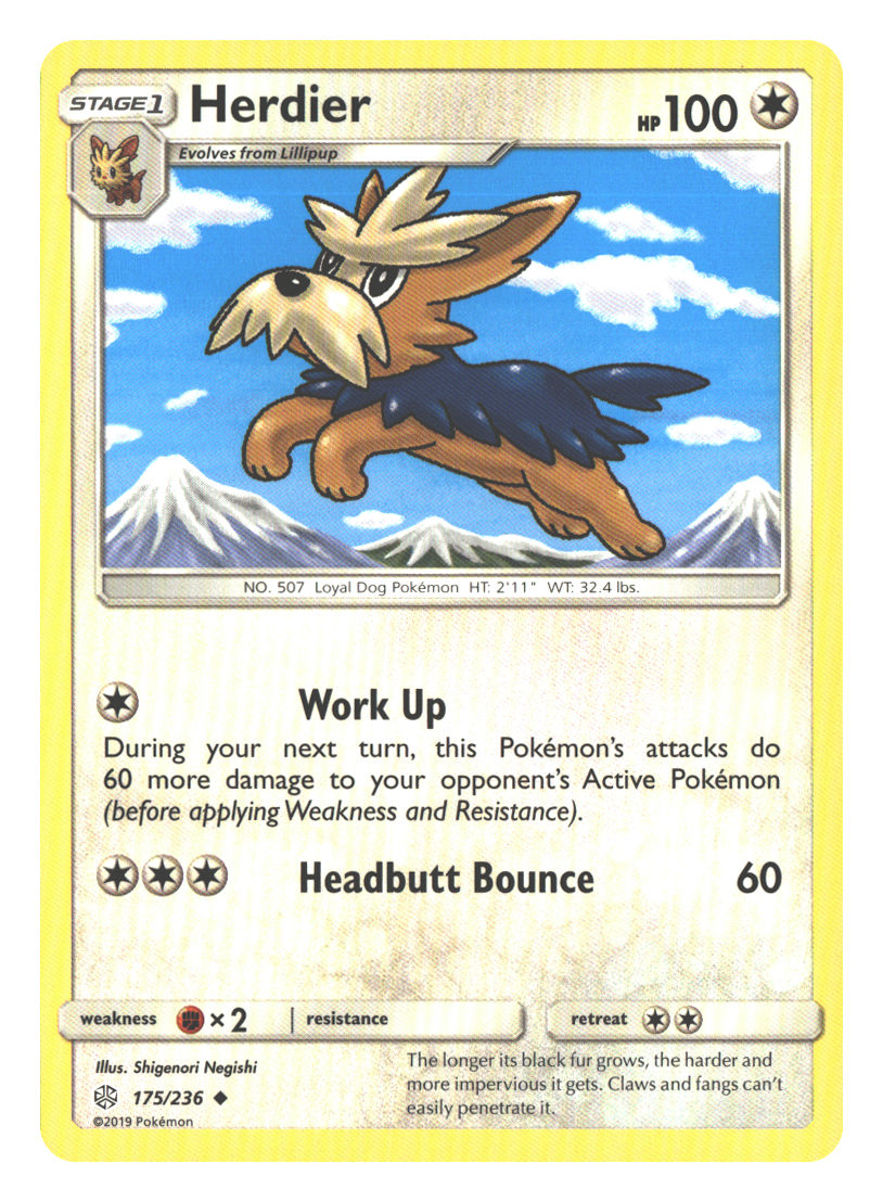 Front + Back scan | Near Mint / English / Normal