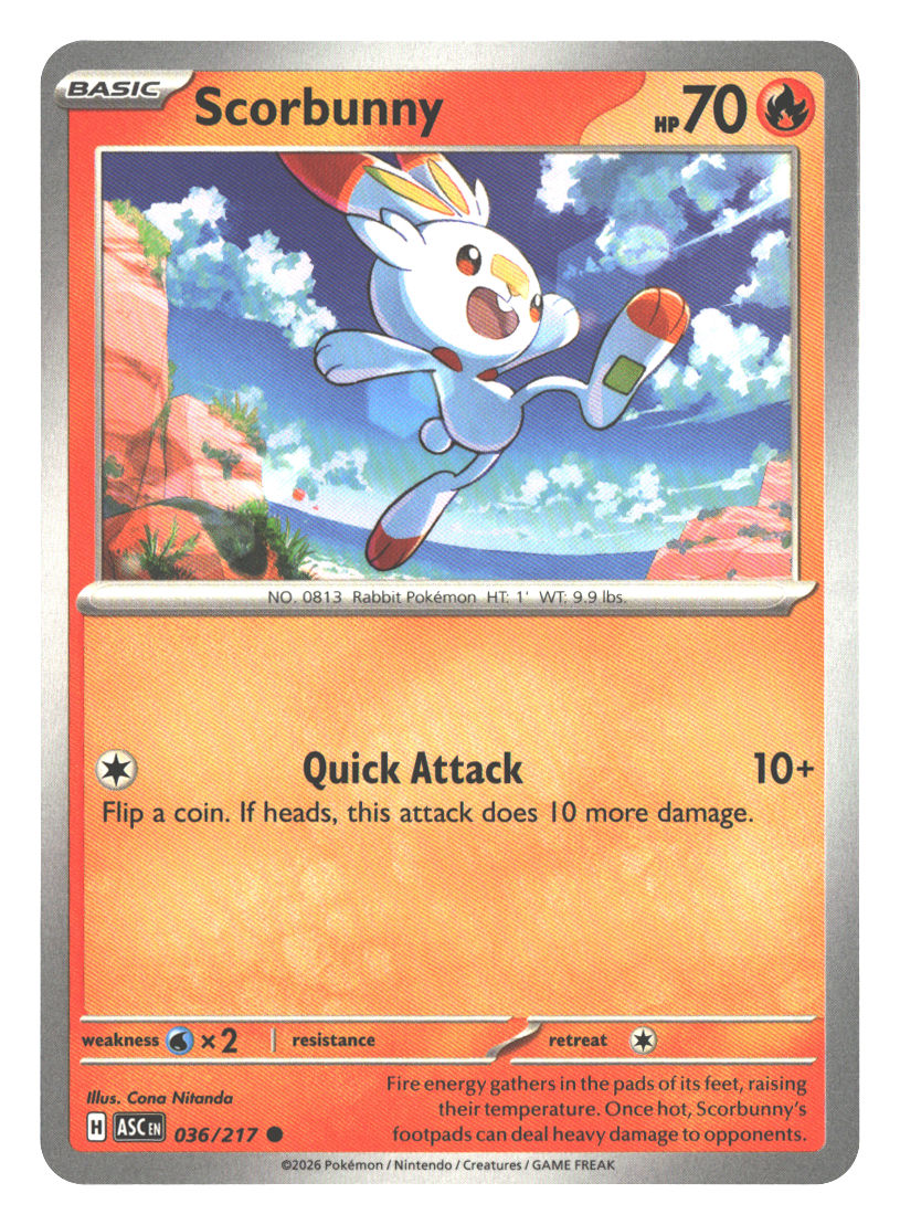 Front + Back scan | Near Mint / English / Normal
