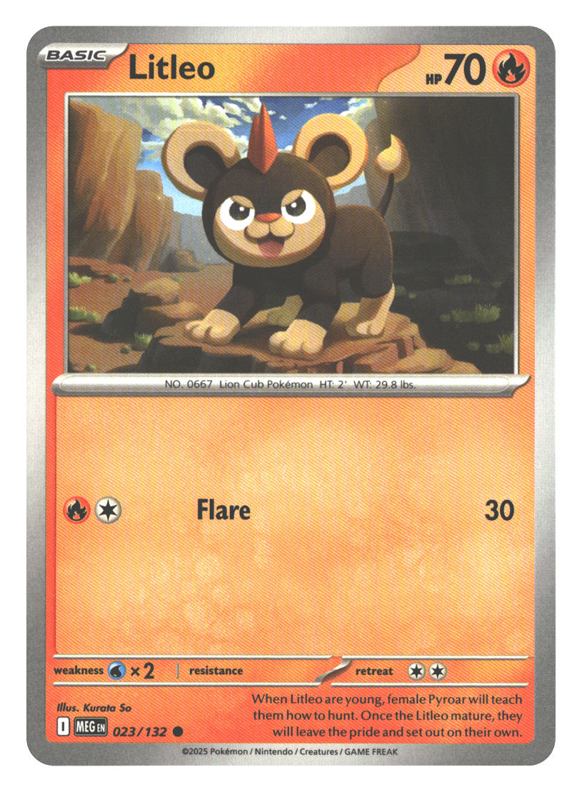 Front + Back scan | Near Mint / English / Normal