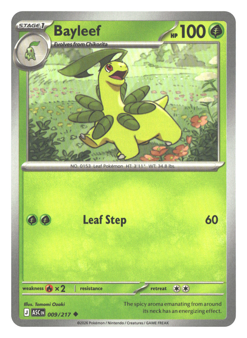 Bayleef | Near Mint / English / Normal