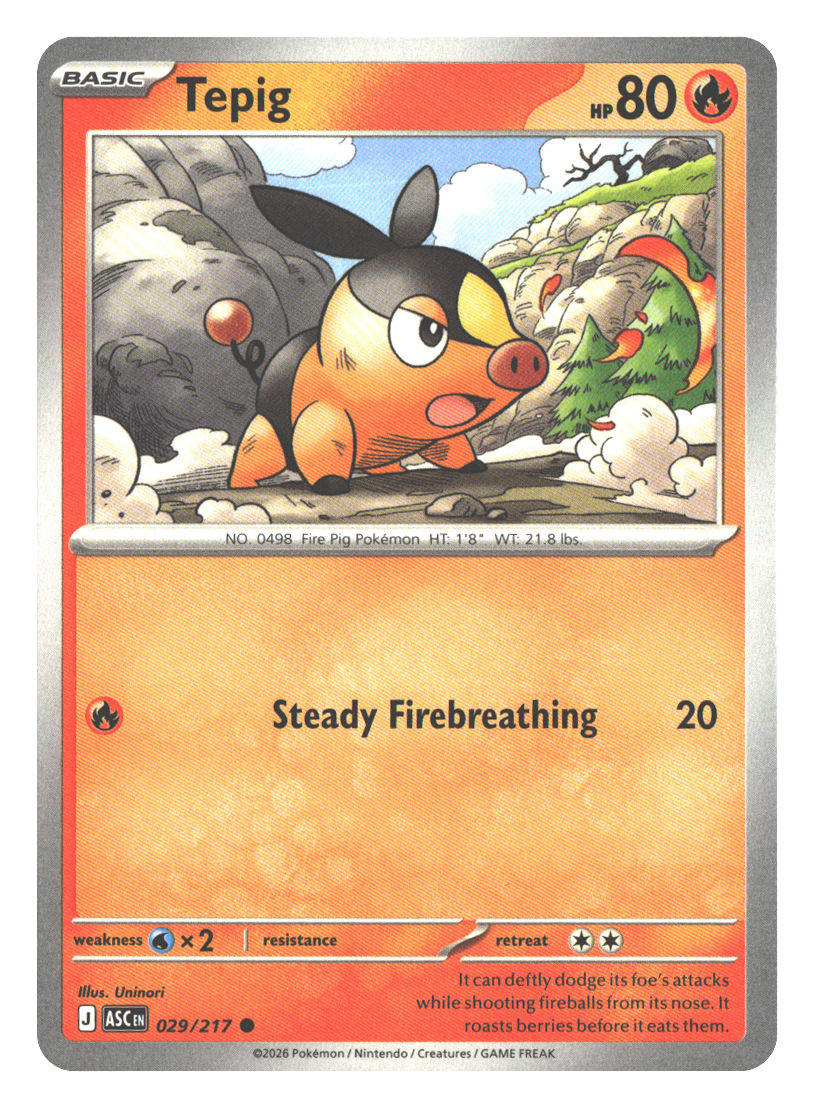 Tepig | Near Mint / English / Normal