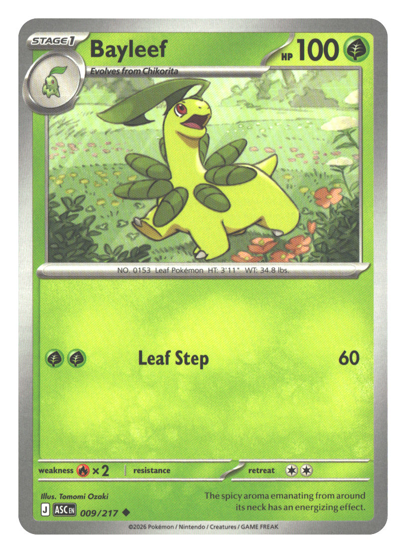 Bayleef | Near Mint / English / Normal