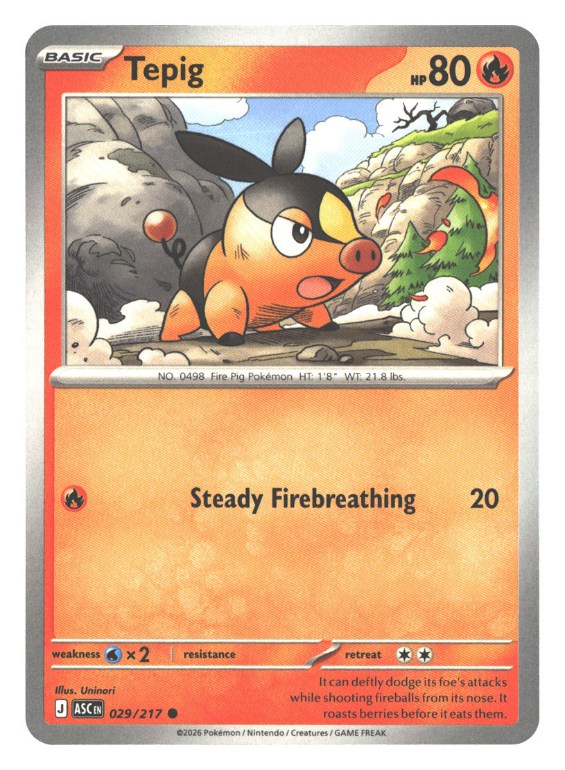 Tepig | Near Mint / English / Normal