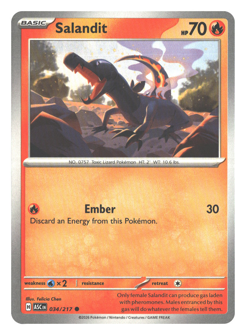 Front + Back scan | Near Mint / English / Normal
