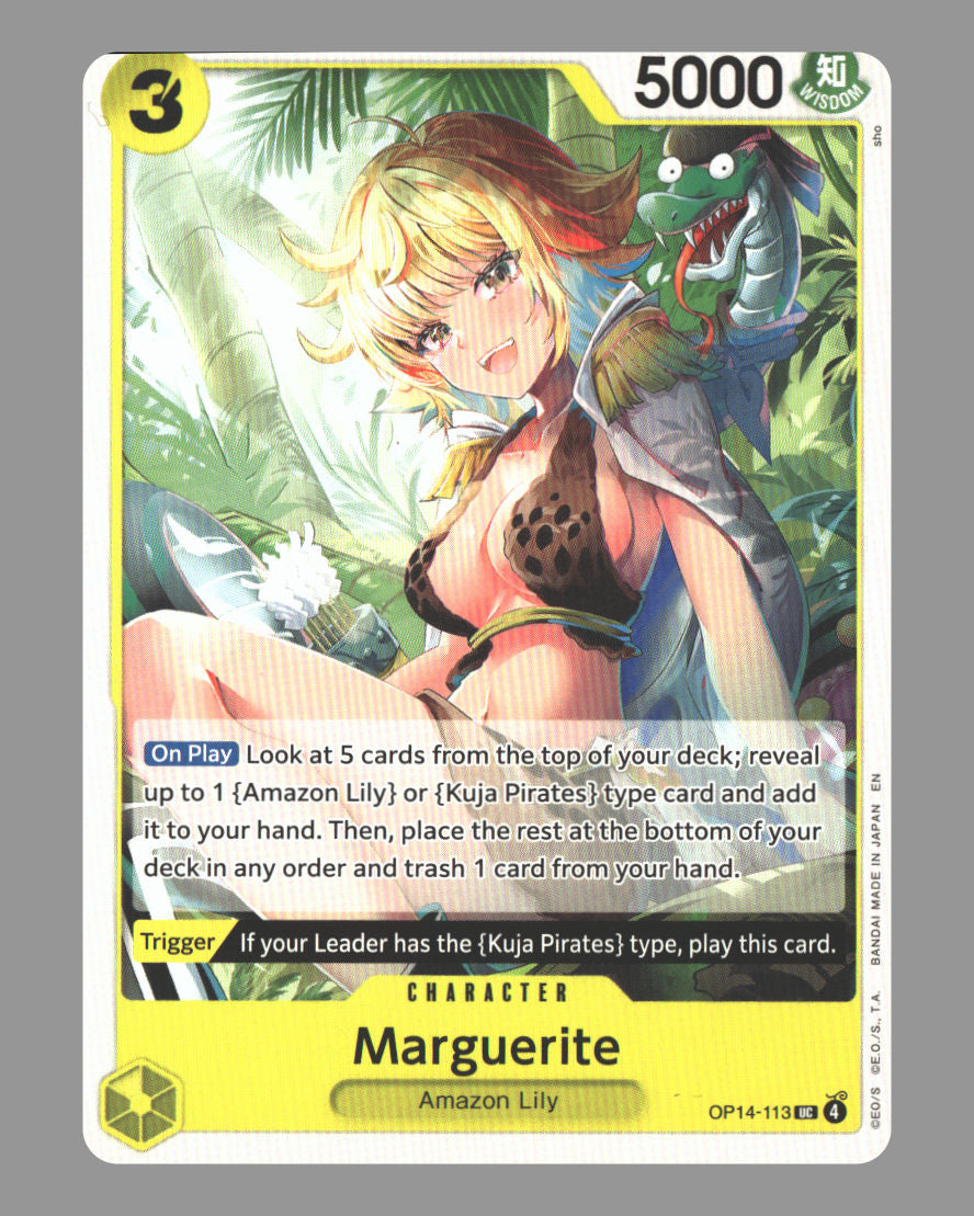 Front + Back scan | Near Mint / English / Normal